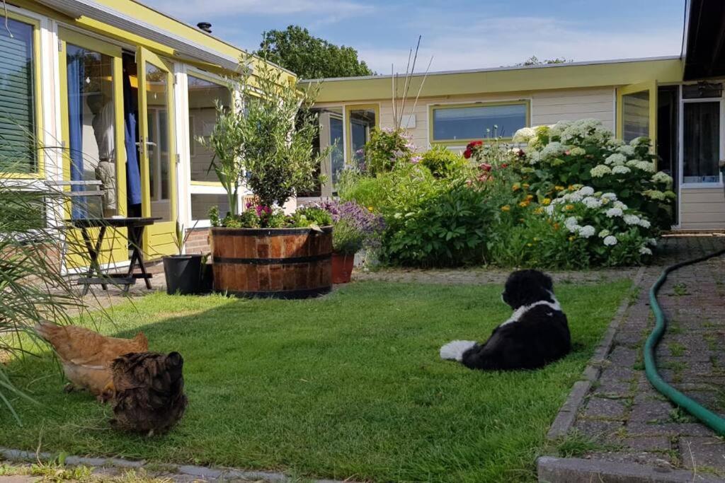 Out Of Amsterdam, River Apartment Close To City Broek in Waterland Exterior foto
