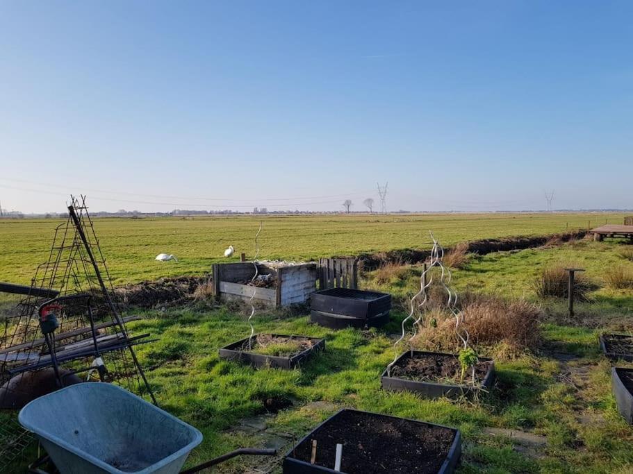 Out Of Amsterdam, River Apartment Close To City Broek in Waterland Exterior foto